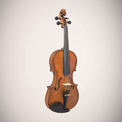 Book an appointment with an orchestral strings technician