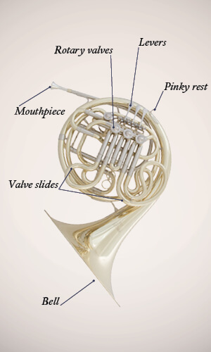 French Horn