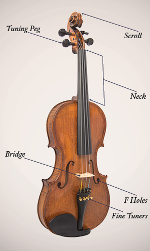 Violin, Viola, Cello, or Bass