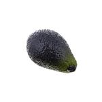 Remo SRAVCD Avocado Shaker