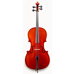 Eastman VC100ST Cello 4/4 Student Outfit