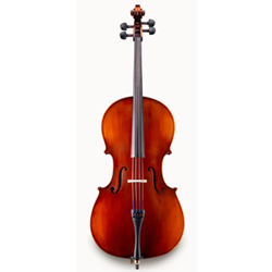 Eastman VC95ST Cello 4/4 Student Outfit