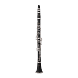 Eastman  Plastic Clarinet Model ECL230