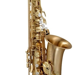 P.mauriat LEBRAVO200A Alto Sax, Model 200 "Le Bravo"