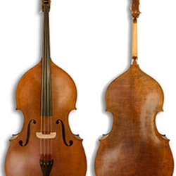 Krutz KVB330 Series 330 Carved Top Bass