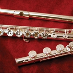 Di Zhao Flutes DZ770BOF Open-Hole Flute w/ Gold-Silver Riser